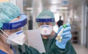 �����¹ڷ��ײ�����186��