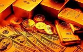 ȫ�����ƽ�ETF--SPDR Gold Trust�ֲֽ����ռ���0.88��