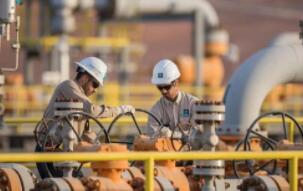 ɳ�ذ���690����Ԫ����չ�70%��SABIC�ɷ�