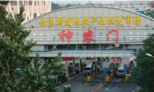 ����6��16����������31���¹ڷ���ȷ�ﲡ��