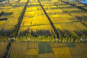 ֥�Ӹ��ڻ����������ס�С��ʹ��ڼ�16���µ�