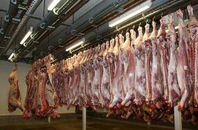 ���������³�������10���