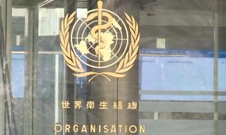 �·�����׷�Ӷ�������֯�ʽ�֧��