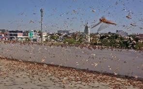 ӡ�ȳ���������ȳ����� �������߶Ⱦ���״̬