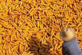 ֥�Ӹ��ڻ����������ס�С��ʹ��ڼ�2��ȫ���µ�