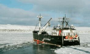 ���޵ĺ���ɢ��ָ����������7�ܵ�����