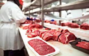 2020���ϰ�������Ի��������ͬ����������150%