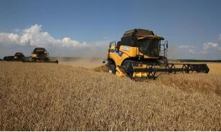 ����˹ũҵ���ƻ�����ʳ��������Ƴ�̬��