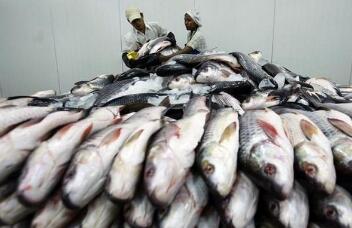 ��鱾����ˮ��Ʒ����������7�ڶ���Ԫ