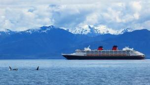 ���޵ĺ���ɢ���˼�ָ����һ�ߵ� ��Ͽ�͡��������ʹ�ֻ�˷�����