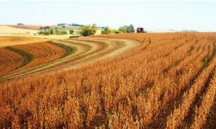 ֥�Ӹ��ڻ����������ס�С��ʹ��ڼ�20���ǵ���һ