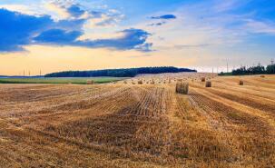 ��������ǰ�ĸ��¹������������40��