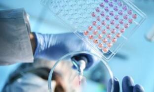 �ﰲ�����ϰ��꾻����ͬ������1159.13%