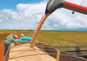 ����2020��С�����Ԥ�ƴ���ʷ��¼