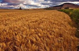 ֥�Ӹ��ڻ����������ס�С��ʹ��ڼ�5���ǵ���һ