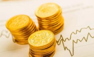 ȫ�����ƽ�ETF--SPDR Gold Trust�ֲֽ���������1.46��