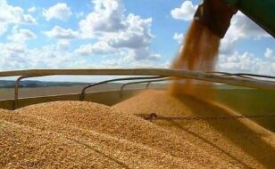 ֥�Ӹ��ڻ����������ס�С��ʹ��ڼ�18��ȫ���µ�