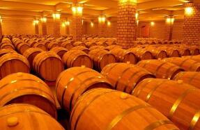 ������չ��Ч���� ʳƷ��ҵ�°���ɳ�����Ȼ����