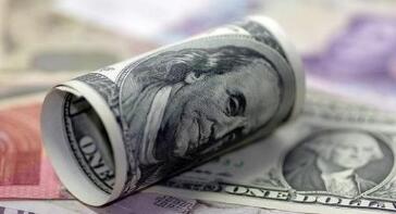 ɽ���ھƣ��ϰ��꾻��ͬ������33%