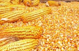 ֥�Ӹ��ڻ����������ס�С��ʹ��ڼ�27��ȫ������