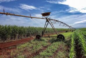 ���޵ĺ���ɢ��ָ��������һ���µ�λ