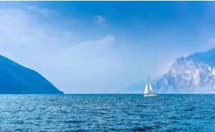 ȫ�򳬹�50%����Ŀ�ĵ��𲽷ſ���������