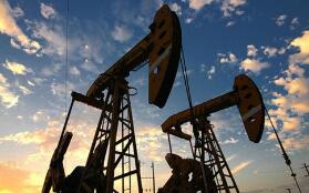 Ӣ��ʯ�ͣ�ȫ��ʯ�����ѽ���2020���������