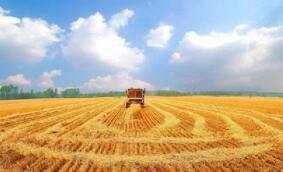 ֥�Ӹ��ڻ����������ס�С��ʹ��ڼ�17��ȫ������