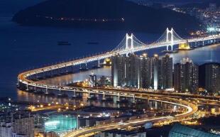 2019�꺫�����󾭼�����ծ���ܶ�4916���ں�Ԫ ����ʷ�¸�