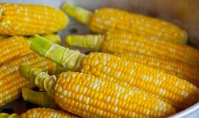 ֥�Ӹ��ڻ����������ס�С��ʹ��ڼ�9���ǵ���һ