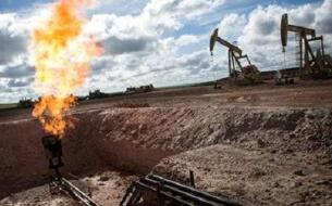 ���عɷݣ�ǰ�����Ⱦ�����14.34%��1.02��Ԫ