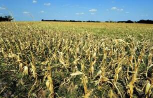 Լ������ʳΣ����һ����