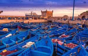 Ħ��������Ⱦ���������Ϊ-8.7%