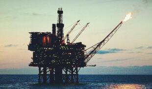 ������Ʒ�ڻ����� ������������������Լ����19.5%