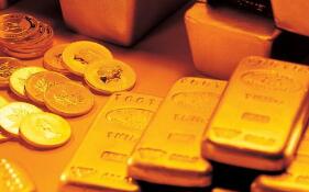 ȫ�����ƽ�ETF--SPDR Gold Trust�ֲֽ���������0.29��