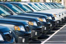 ӡ�������������ҵָ����ָ���44.91%