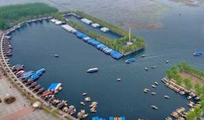 �й��˵磺ǰ��������ͬ������33.23%