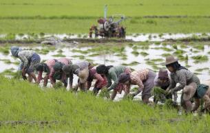 2019-2020�������ˮ����ֲ���ͬ���½�