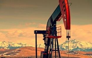 330�������幫˾ɹ�����������ɼ�����