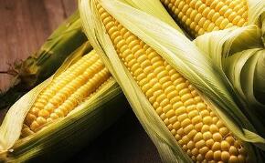 ֥�Ӹ��ڻ����������ס�С��ʹ��ڼ�9���ǵ���һ