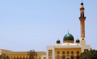 ���ն�������չ����ҵ