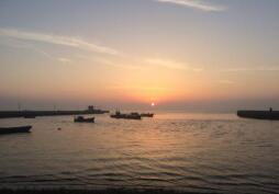 10�·ݸ�ɣ�����ε��ο�������������