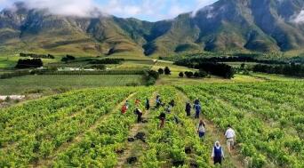 ���������Ϸ�ũҵ���ڴ��¸�