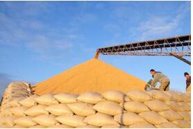 �����ڿ��������ճ�Ϊ���������