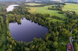 ��ɳ������׼δ��5�����ɭ�������ֿ�����