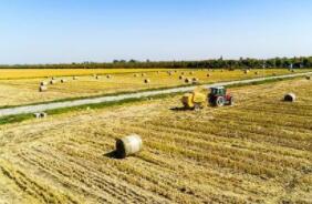 ֥�Ӹ��ڻ����������ס�С��ʹ��ڼ�2���ǵ���һ