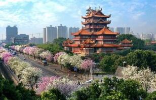 ���������������칫��ӡ�����ڽ�һ�������仧����׳���˿ڹ�ģ���ɴ�ʩ��֪ͨ