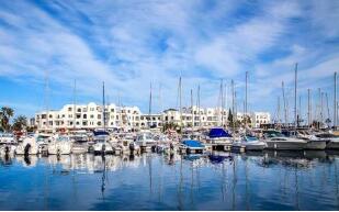 ͻ��˹2020������������½�64%