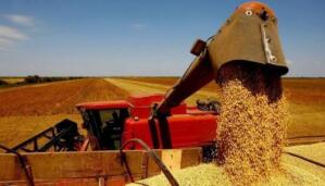 1��11�·ݰ���ũ��Ʒ����ͬ������4.9%