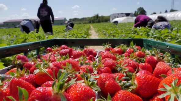 ��ó��֯�������¹������ֵ������·�ߡ�����